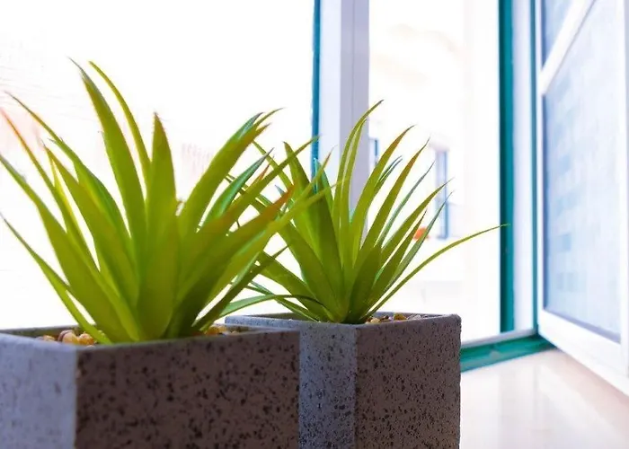 Wave Sun House * Nazare